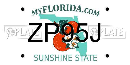 ZP95J Florida License Plate