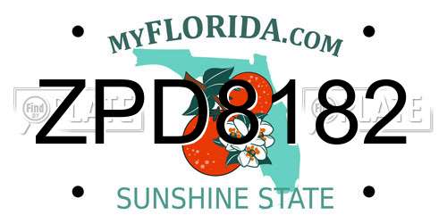ZPD8182 Florida License Plate