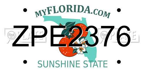 ZPE2376 Florida License Plate