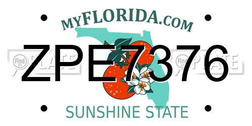 ZPE7376 Florida License Plate