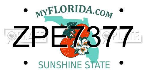 ZPE7377 Florida License Plate