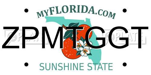 ZPMTGGT Florida License Plate