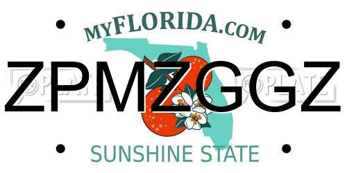 ZPMZGGZ Florida License Plate