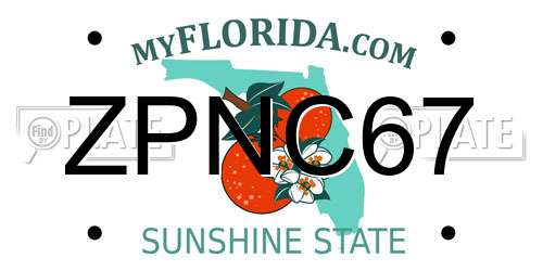 ZPNC67 Florida License Plate