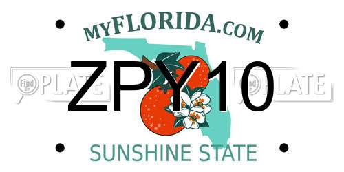 ZPY10 Florida License Plate
