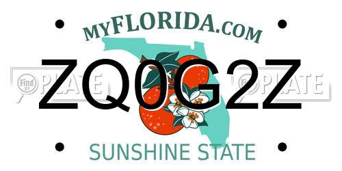ZQ0G2Z Florida License Plate