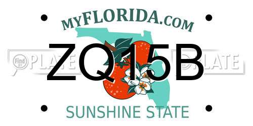 ZQ15B Florida License Plate