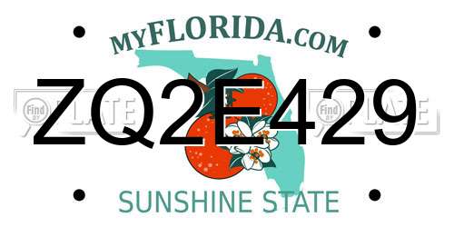 ZQ2E429 Florida License Plate