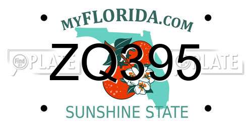 ZQ395 Florida License Plate