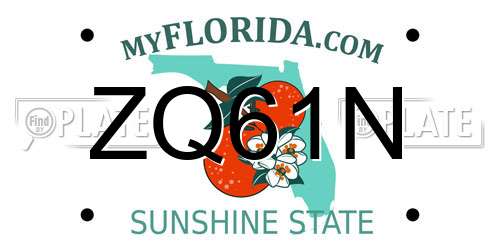ZQ61N Florida License Plate