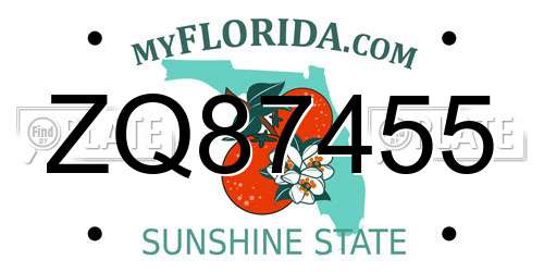ZQ87455 Florida License Plate