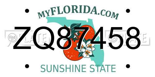 ZQ87458 Florida License Plate