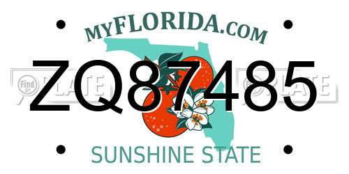 ZQ87485 Florida License Plate