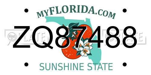ZQ87488 Florida License Plate