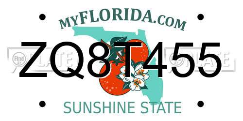 ZQ8T455 Florida License Plate
