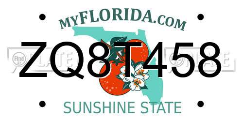 ZQ8T458 Florida License Plate