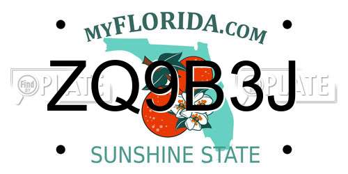 ZQ9B3J Florida License Plate