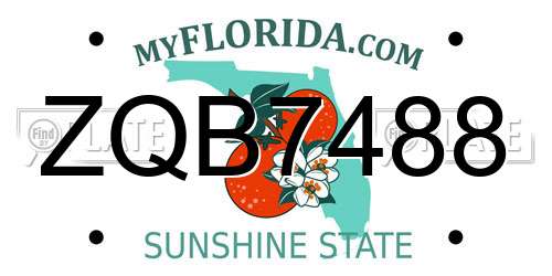 ZQB7488 Florida License Plate