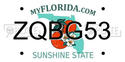 ZQBG53 Florida License Plate