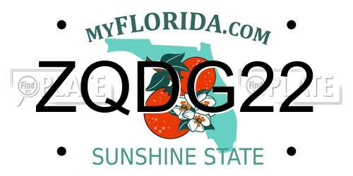 ZQDG22 Florida License Plate
