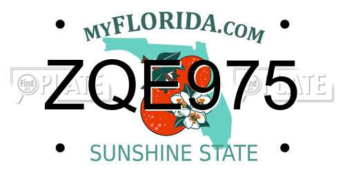 ZQE975 Florida License Plate