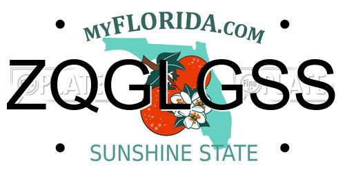 ZQGLGSS Florida License Plate