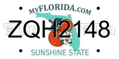 ZQH2148 Florida License Plate
