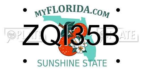 ZQI35B Florida License Plate