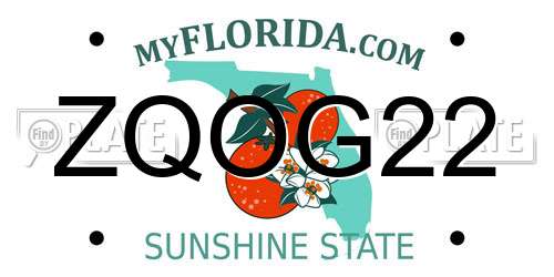 ZQOG22 Florida License Plate