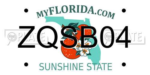 ZQSB04 Florida License Plate