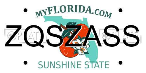 ZQSZASS Florida License Plate