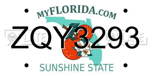 ZQY3293 Florida License Plate