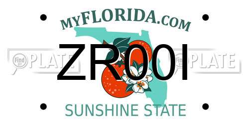 ZR00I Florida License Plate
