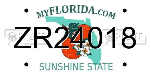 ZR24018 Florida License Plate