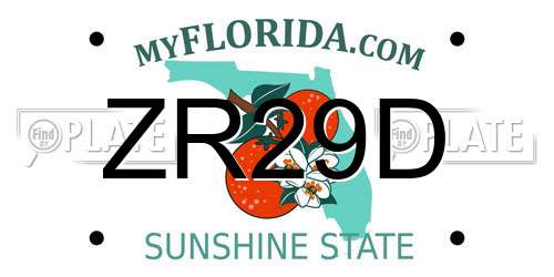 ZR29D Florida License Plate