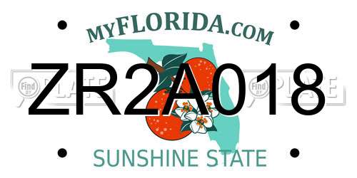 ZR2A018 Florida License Plate
