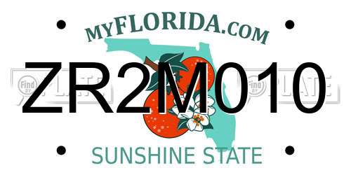 ZR2M010 Florida License Plate