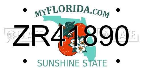 ZR41890 Florida License Plate