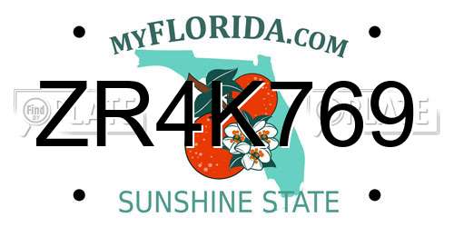 ZR4K769 Florida License Plate