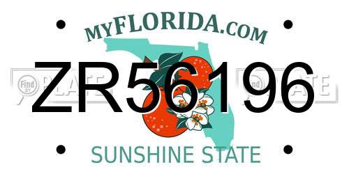 ZR56196 Florida License Plate