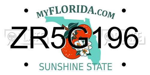 ZR5G196 Florida License Plate