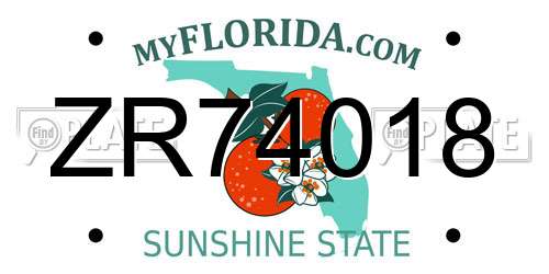 ZR74018 Florida License Plate
