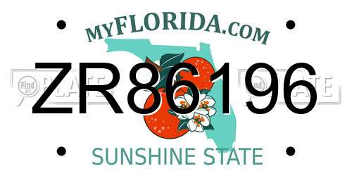 ZR86196 Florida License Plate