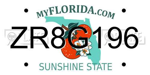 ZR8G196 Florida License Plate