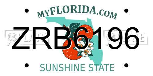 ZRB6196 Florida License Plate