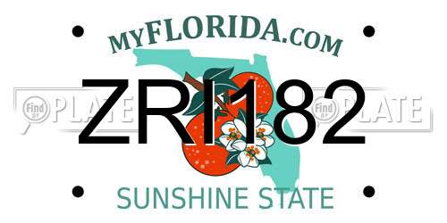 ZRI182 Florida License Plate
