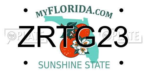 ZRTG23 Florida License Plate