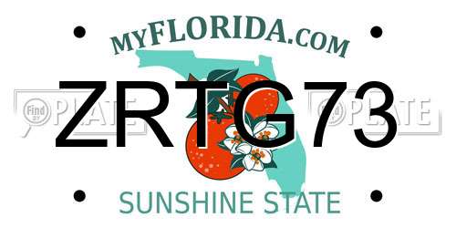 ZRTG73 Florida License Plate