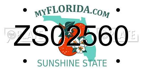 ZS02560 Florida License Plate