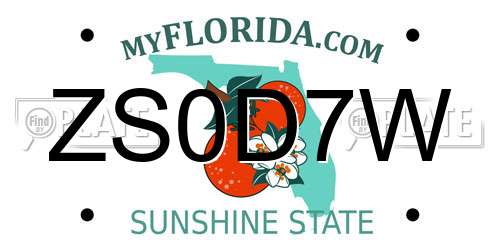 ZS0D7W Florida License Plate